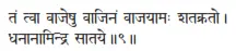 taṁ tvā vājeṣu vājinaṁ vājayāmaḥ śatakrato ǀ dhanānāmindra sātaye ǁ 9 Тебя - фото 14