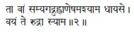 tā vāṁ samyagadruhvāṇeṣamaśyāma dhāyase ǀ vayaṁ te rudrā syāma ǁ 2 Вы - фото 140