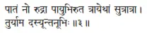 pātaṁ no rudrā pāyubhiruta trāyethāṁ sutrātrā ǀ turyāma dasyūntanūbhiḥ ǁ 3 - фото 141