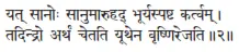 yat sānoḥ sānumāruhad bhūryaspaṣṭa kartvam ǀ tadindro arthaṁ cetati yūthena - фото 190