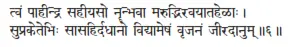 tvaṁ pāhīndra sahīyaso nṝn bhavā marudbhiravayātaheḷāḥ ǀ supraketebhiḥ - фото 21