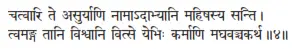 catvāri te asuryāṇi nāmādābhyāni mahiṣasya santi ǀ tvamaṅga tāni viśvāni - фото 217