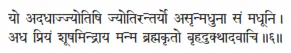 yo adadhājjyotiṣi jyotirantaryo asṛjanmadhunā saṁ madhūni ǀ adha priyaṁ - фото 219