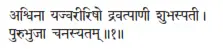 aśvinā yajvarīriṣo dravatpāṇī śubhaspatī ǀ purubhujā canasyatam ǁ 1 О - фото 220