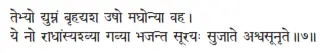 tebhyo dyumnaṁ bṛhadyaśa uṣo maghonyā vaha ǀ ye no rādhāṁsyaśvyā gavyā - фото 256