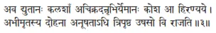 ava dyutānaḥ kalaśāṁ acikradannṛbhiryemānaḥ kośa ā hiraṇyaye ǀ abhīmṛtasya - фото 299