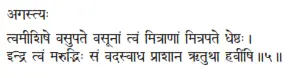 agastyaḥ tvamīśiṣe vasupate vasūnāṁ tvaṁ mitrāṭāṁ mitrapate dheṣṭhaḥ ǀ - фото 5