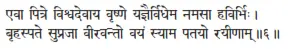 evā pitre viśvadevāya vṛṣṇe yajñairvidhema namasā havirbhiḥ ǀ bṛhaspate - фото 58