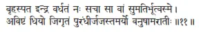 bṛhaspata indra vardhataṁ naḥ sacā sā vāṁ sumatirbhūtvasme ǀ aviṣṭaṁ dhiyo - фото 63