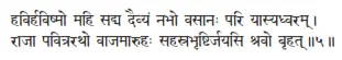 havirhaviṣmo mahi sadma daivyaṁ nabho vasānaḥ pari yāsyadhvaram ǀ rājā - фото 89