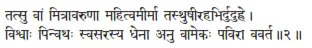 tat su vāṁ mitrāvaruṇā mahitvamīrmā tasthuṣīrahabhirduduhre ǀ viśvāḥ - фото 91
