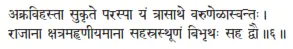 akravihastā sukṛte paraspā yaṁ trāsāthe varuṇeḷāsvantaḥ ǀ rājānā - фото 95