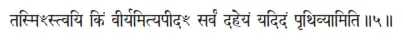 tasmiḿstvayi kiṁ vīryamityapīdaḿ sarvaṁ daheyaṁ yadidaṁ pṛthivyāmiti ǁ 5 - фото 20