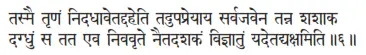 tasmai tṛṇaṁ nidadhāvetaddaheti tadupapreyāya sarvajavena tanna śaśāka dagdhuṁ - фото 21