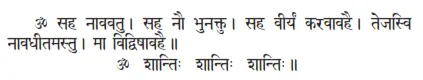 OM saha nāvavatu ǀ saha nau bhunaktu ǀ saha vīryaṁ karavāvahai ǀ tejasvi - фото 37