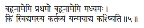 bahūnāmemi prathamo bahūnāmemi madhyamaḥ ǀ kiṁ svidyamasya kartavyaṁ - фото 42