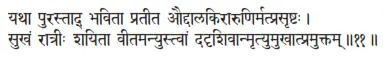 yathā purastād bhavitā pratīta auddālakirāruṇirmatprasṛṣṭaḥ ǀ sukhaṁ rātrīḥ - фото 48