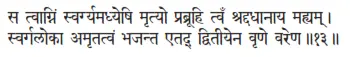sa tvāgniṁ svargyamadhyeṣi mṛtyo prabrūhi tvaḿ śraddadhānāya mahyam ǀ - фото 50