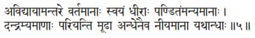 avidyāyāmantare vartamānāḥ svayaṁ dhīrāḥ paṇâitaṁmanyamānāḥ ǀ dandramyamāṇāḥ - фото 71