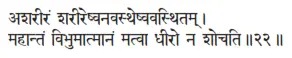 aśarīraṁ śarīreṣvanavastheṣvavasthitam ǀ mahāntaṁ vibhumātmānaṁ matvā dhīro - фото 88