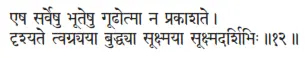 eṣa sarveṣu bhūteṣu gūâhotmā na prakāśate ǀ dṛśyate tvagryayā buddhyā - фото 103
