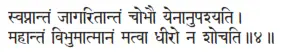 svapnāntaṁ jāgaritāntaṁ cobhau yenānupaśyati ǀ mahāntaṁ vibhumātmānaṁ matvā - фото 112