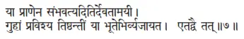 yā prāṇena saṁbhavatyaditirdevatāmayī ǀ guhāṁ praviśya tiṣṭhantīṁ yā - фото 115