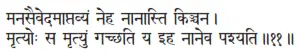 manasaivedamāptavyaṁ neha nānāsti kiñcana ǀ mṛtyoḥ sa mṛtyuṁ gacchati ya iha - фото 119