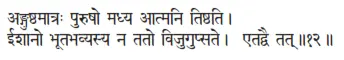 aṅguṣṭhamātraḥ puruṣo madhya ātmani tiṣṭhati ǀ īśāno bhūtabhavyasya na tato - фото 120