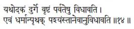 yathodakaṁ durge vṛṣṭaṁ parvateṣu vidhāvati ǀ evaṁ dharmānpṛthak - фото 122