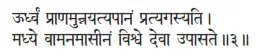 ūrdhvaṁ prāṇamunnayatyapānaṁ pratyagasyati ǀ madhye vāmanamāsīnaṁ viśve devā - фото 126