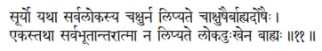 sūryo yathā sarvalokasya cakṣurna lipyate cākṣuṣairbāhyadoṣaiḥ ǀ ekastathā - фото 134
