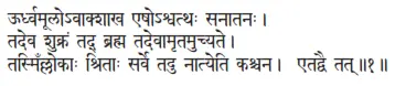 ūrdhvamūlovākśākha eṣośvatthaḥ sanātanaḥ ǀ tadeva śukraṁ tad brahma - фото 139