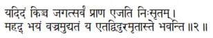 yadidaṁ kiñca jagatsarvaṁ prāṇa ejati niḥsṛtam ǀ mahad bhayaṁ vajramudyataṁ - фото 140