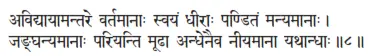 avidyāyāmantare vartamānāḥ svayaṁ dhīrāḥ paṇâitaṁ manyamānāḥ ǀ jaṅghanyamānāḥ - фото 174