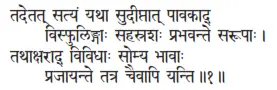 tadetat satyaṁ yathā sudīptāt pāvakād visphuliṅgāḥ sahasraśaḥ prabhavante - фото 180