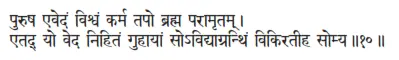puruṣa evedaṁ viśvaṁ karma tapo brahma parāmṛtam ǀ etad yo veda nihitaṁ - фото 189