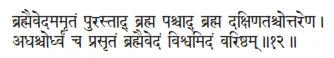brahmaivedamamṛtaṁ purastād brahma paścād brahma dakṣiṇataścottareṇa ǀ - фото 201