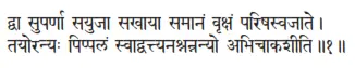 dvā suparṇā sayujā sakhāyā samānaṁ vṛkṣaṁ pariṣasvajāte ǀ tayoranyaḥ pippalaṁ - фото 202