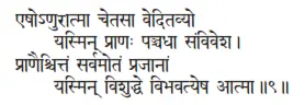 eṣoṇurātmā cetasā veditavyo yasmin prāṇaḥ pañcadhā saṁviveśa ǀ - фото 210