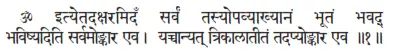 OM ityetadakṣaramidaḿ sarvaṁ tasyopavyākhyānaṁ bhūtaṁ bhavad bhaviṣyaditi - фото 224