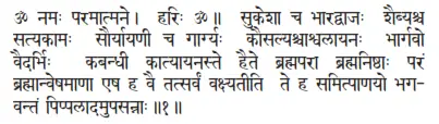 OM namaḥ paramātmane ǀ hariḥ OM ǁ sukeśā ca bhāradvājaḥ śaibyaśca - фото 237