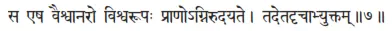sa eṣa vaiśvānaro viśvarūpaḥ prāṇognirudayate ǀ tadetadṛcābhyuktam ǁ 7 - фото 243