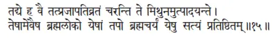 tadye ha vai tatprajāpativrataṁ caranti te mithunamutpādayante ǀ teṣāmevaiṣa - фото 251