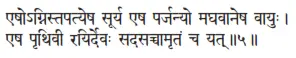 eṣognistapatyeṣa sūrya eṣa parjanyo maghavāneṣa vāyuḥ ǀ eṣa pṛthivī - фото 257