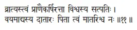 vrātyastvaṁ prāṇaikarṣirattā viśvasya satpatiḥ ǀ vayamādyasya dātāraḥ pitā - фото 263
