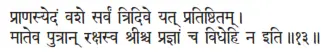 prāṇasyedaṁ vaśe sarvaṁ tridive yat pratiṣṭhitam ǀ māteva putrān rakṣasva - фото 265