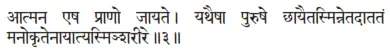 ātmana eṣa prāṇo jāyate ǀ yathaiṣā puruṣe chāyaitasminnetadātataṁ - фото 268