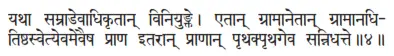 yathā samrāâevādhikṛtān viniyuṅkte ǀ etān grāmānetān grāmānadhi - фото 269