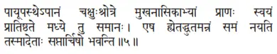 pāyūpasthepānaṁ cakṣuḥśrotre mukhanāsikābhyāṁ prāṇaḥ svayaṁ prātiṣṭhate - фото 270